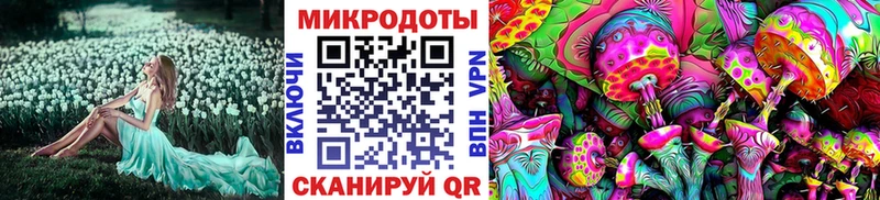 Псилоцибиновые грибы мухоморы  Купить закладки  Североуральск 